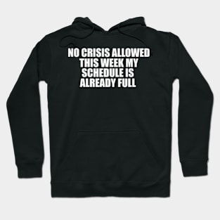 Funny Work Shirt, No Crisis Allowed This Week, sarcastic work Shirt, Shirt for coworker, work friend gift Hoodie